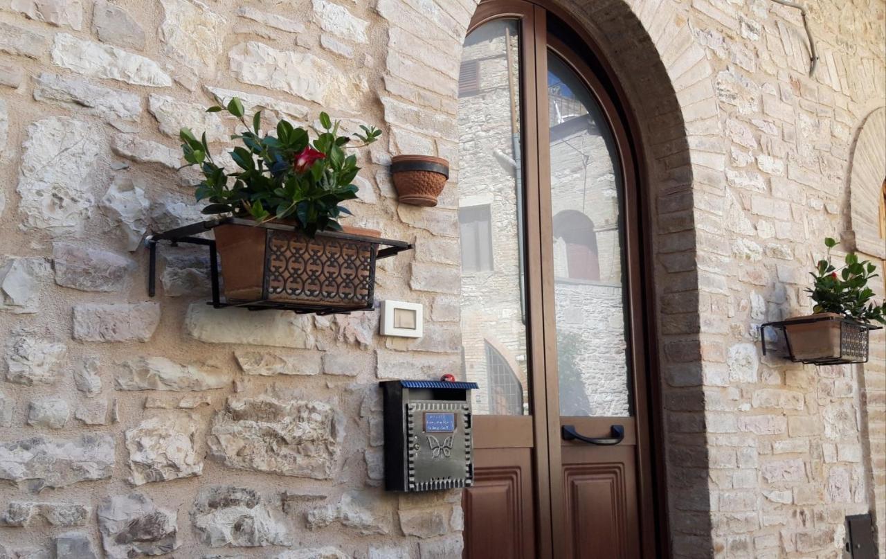 阿西西Il Cortile Di San Rufino公寓 外观 照片
